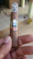 Imagen de reseña 5