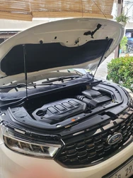 Puntales gas capó Ford Territory 2018-2023