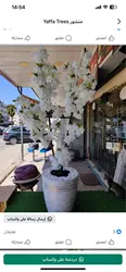 Imagen de reseña 3