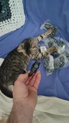 Imagen de reseña 1