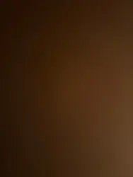 Imagen de reseña 3