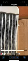 Imagen de reseña 4