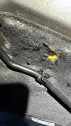 Imagen de reseña 4