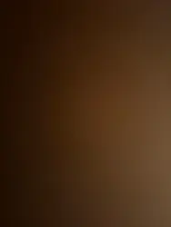 Imagen de reseña 4