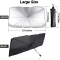 Large