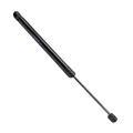 normal black