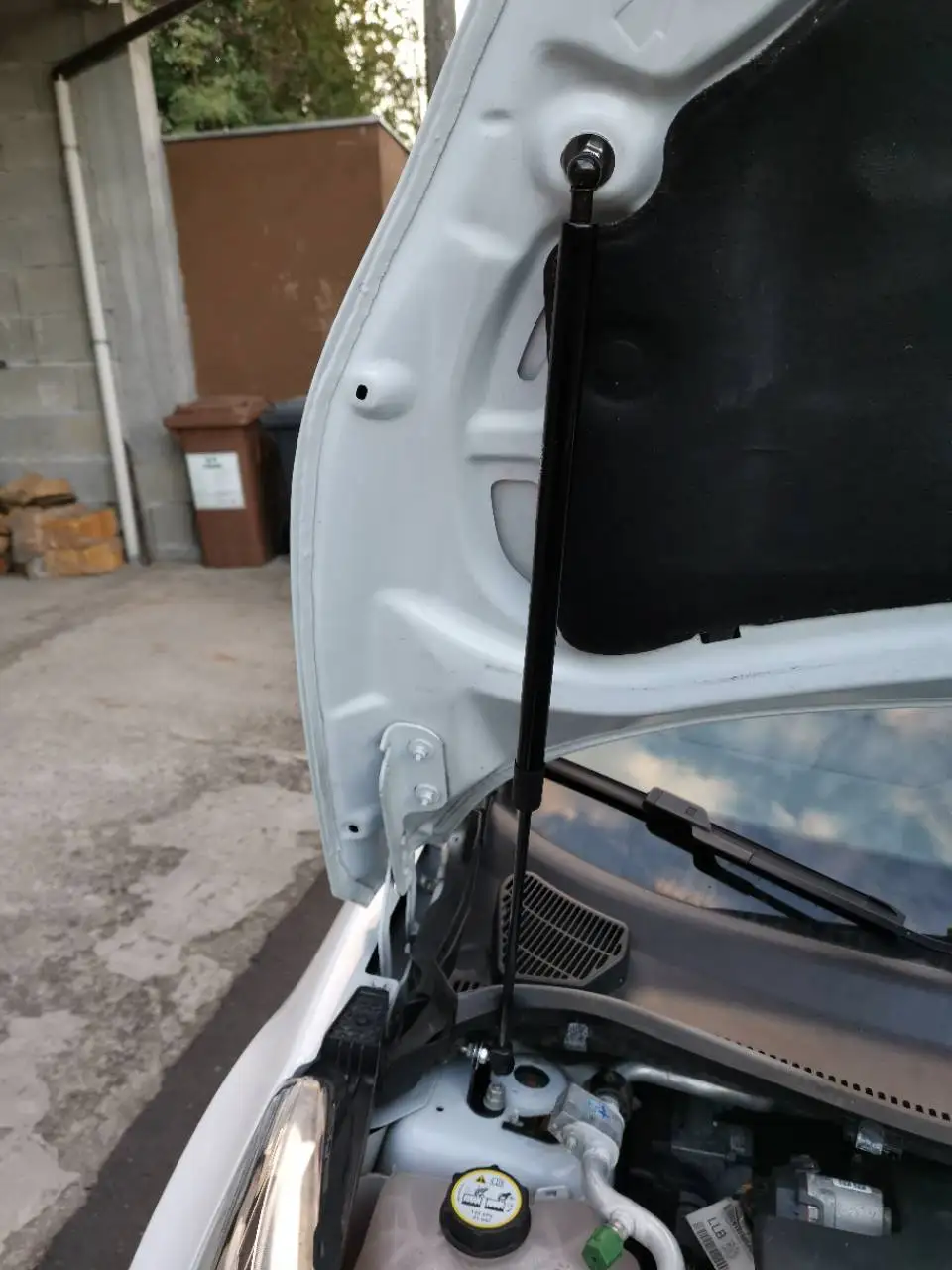 Amortiguador de gas para capó Ford Fiesta Mk6/Mk7 2009-2020