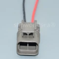 1pcs male