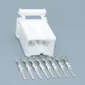 2set male