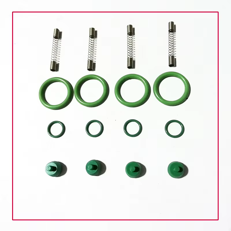 Kit de reparación para riel de inyección OMVL NT401