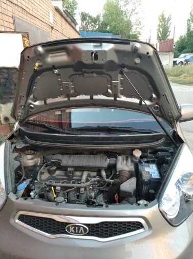 Amortiguadores de capó en fibra de carbono – Kia Picanto TA 2011-2017 - imagen 2