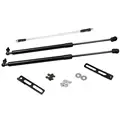 normal black