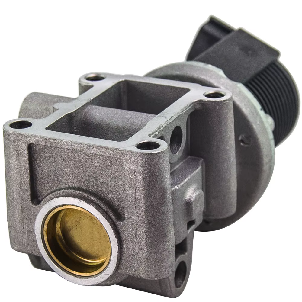 Vista interior del producto