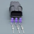 2set male