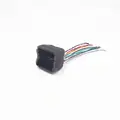 female plug