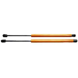 Soportes de gas para capó delantero Toyota Aristo Lexus GS