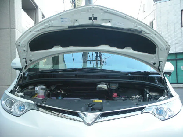 Amortiguador Gas Capó Delantero para Toyota Estima ACR50 2006-2019