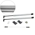 silver carbon fiber