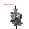 PZ30B auto