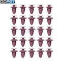 25 Piece