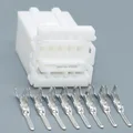 5set male