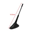 15.5cm