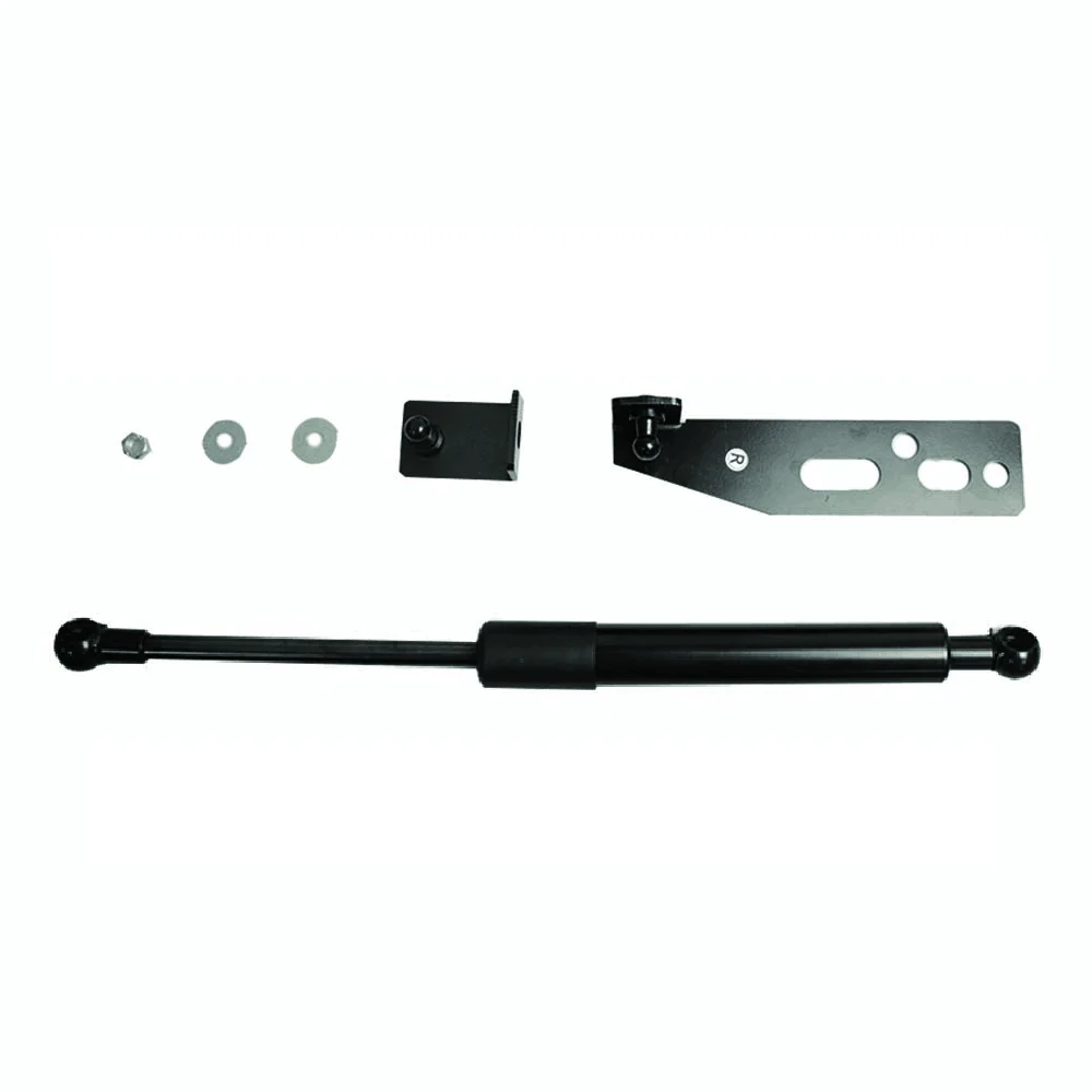 Amortiguadores de capó fibra de carbono para Fiat 500 2007-2020