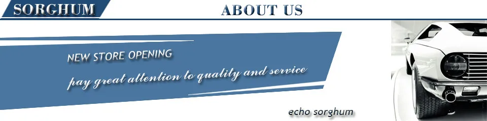 Imágen del sensor de estacionamiento PDC