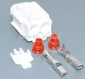 100set female