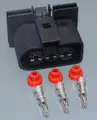 5set female