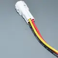 1pcs male