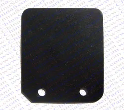 Lengüeta fibra de carbono Polini GP3 para mini moto