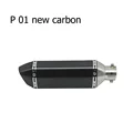 model P-01
