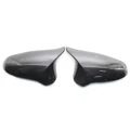 carbon fiber