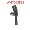 WHT003858