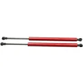 red carbon fiber