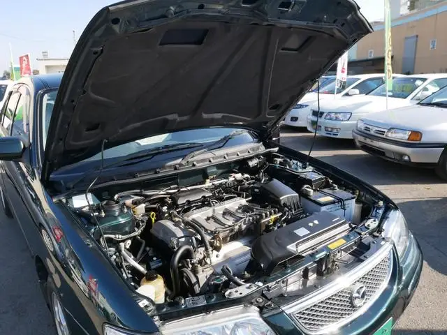 Soportes de elevación de capó para Mazda Capella GF GW 1997-2002 para Mazda 626 modificar capó delantero amortiguador amortiguador de Gas amortiguadores varilla cilíndrica