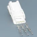 2set male