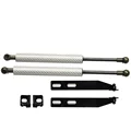silver carbon fier