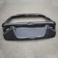 Carbon Fiber