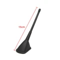 15cm