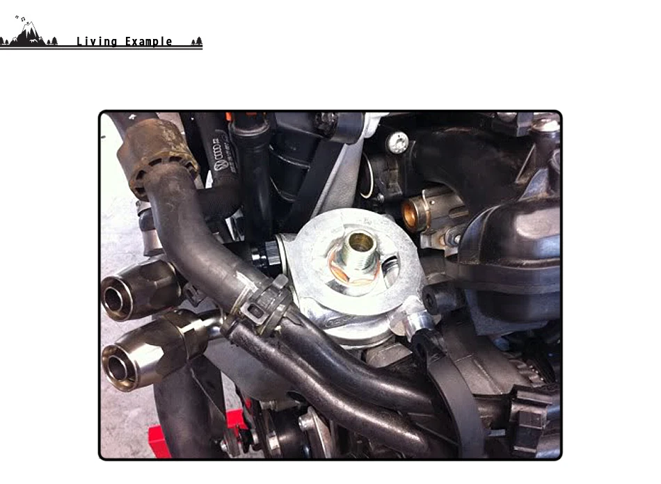 Contenido completo del kit: placa, tapones y junta