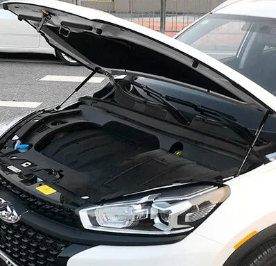 Puntales de capó Chery Tiggo 8 2018-2023 – Soporte de elevación
