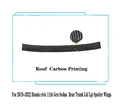 Roof Carbon Look
