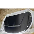 carbon fiber