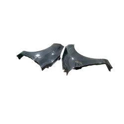 Guardabarros de fibra de carbono para Ford Fiesta 2016