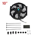 10 Fan