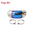 Type B1