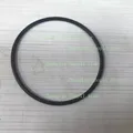 Large seal ring
