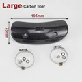 Carbon D-for Leovinc